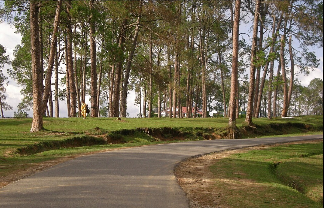 Ranikhet Travel Guide: Experience the Tranquil Beauty of Uttarakhand